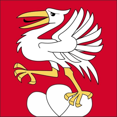 Fahne Bezirk Saanen (BE) | 30 x 30 cm und Gr&ouml;sser - Bild 1