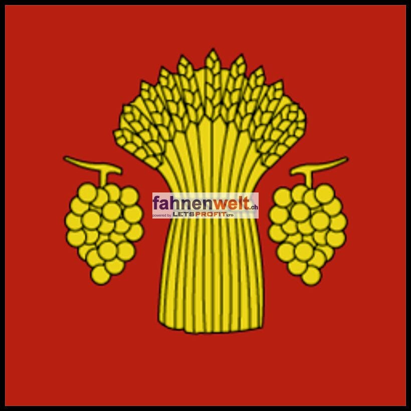 Fahne Gemeinde 1267 Vich (VD) | 30 x 30 cm und Gr&ouml;sser - Bild 1