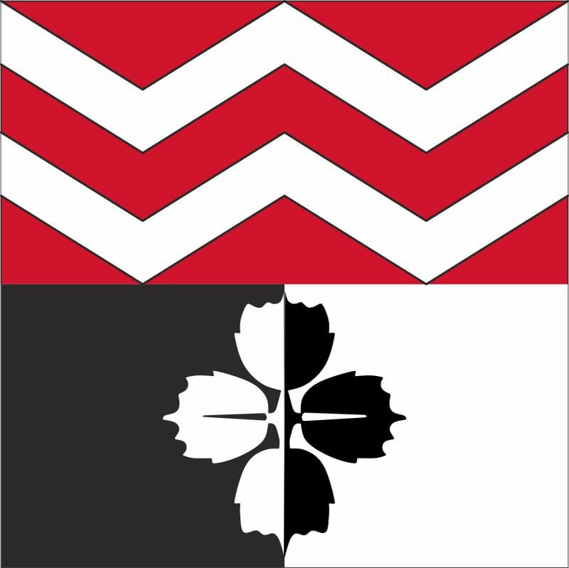Fahne Region Bigenthal (BE) | 30 x 30 cm und Gr&ouml;sser - Bild 1