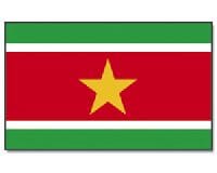Surinam Hissfahne gedruckt im Querformat | 90 x 150 cm - Bild 1