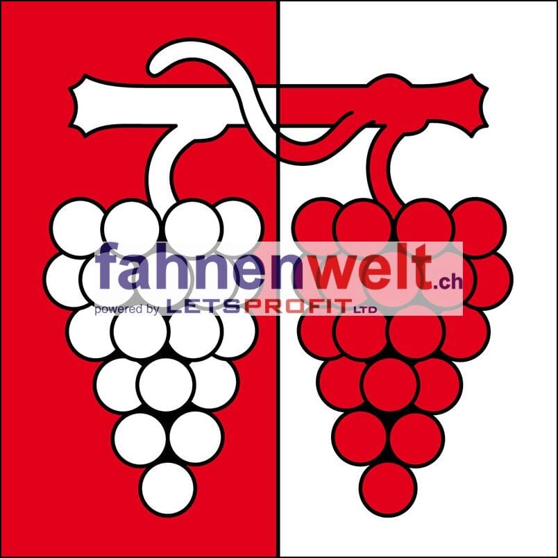 Fahne Gemeinde 4464 Maisprach (BL) | 30 x 30 cm und Gr&ouml;sser - Bild 1