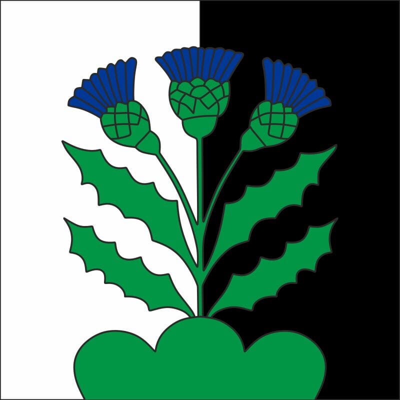Fahne Gemeinde 9050 Stechlenegg Ehemalige Gemeinde (AI) | 30 x 30 cm und Gr&ouml;sser - Bild 1
