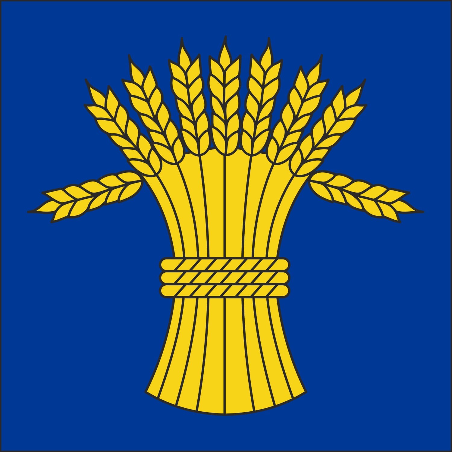 Fahne Gemeinde 5235 R&uuml;fenach (AG) | 30 x 30 cm und Gr&ouml;sser - Bild 1