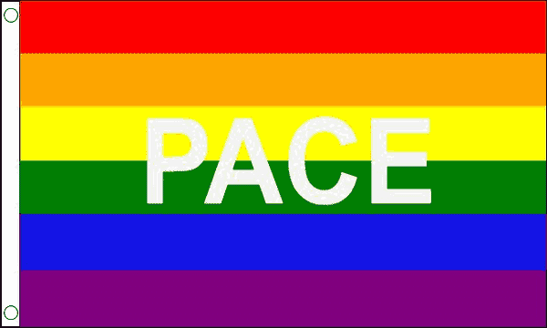 Fahne PACE / Regenbogen gedruckt im Querformat | 90 x 150 cm - Bild 1