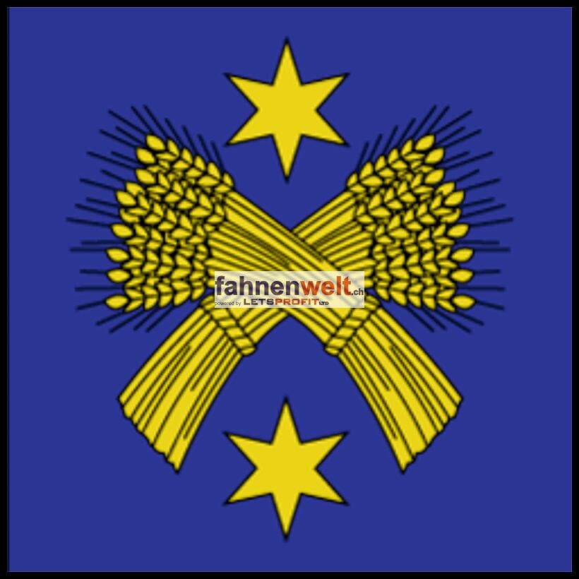 Fahne Gemeinde 1991 Salins Ehemalige Gemeinde (VS) | 30 x 30 cm und Gr&ouml;sser - Bild 1