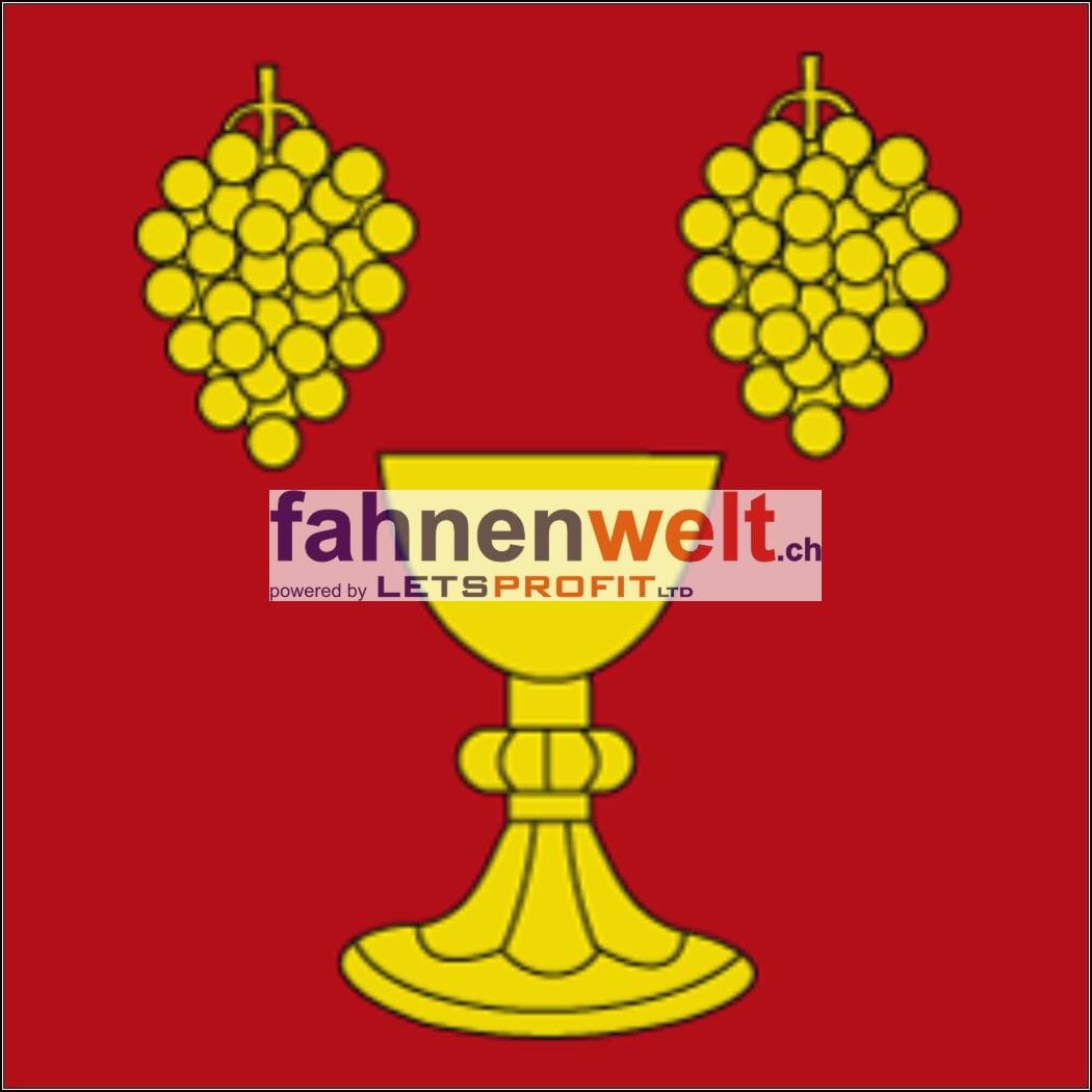 Fahne Gemeinde 7147 Vignogn Ehemalige Gemeinde (GR) | 30 x 30 cm und Gr&ouml;sser - Bild 1