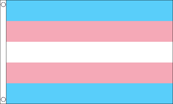 Transgender neues Design Fahne gedruckt | 90 x 150 cm | aus Stoff - Bild 1