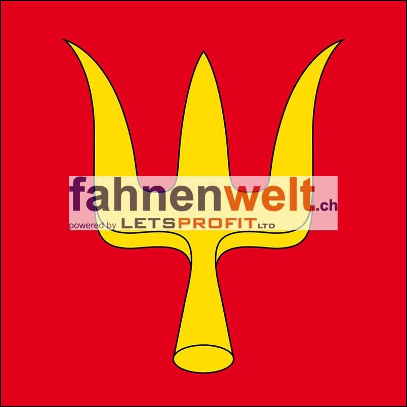 Fahne Gemeinde 3253 Schnottwil (SO) | 30 x 30 cm und Gr&ouml;sser - Bild 1