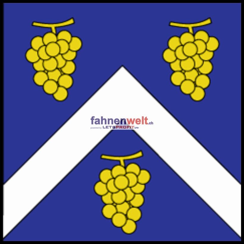 Fahne Gemeinde 1134 Chigny (VD) | 30 x 30 cm und Gr&ouml;sser - Bild 1
