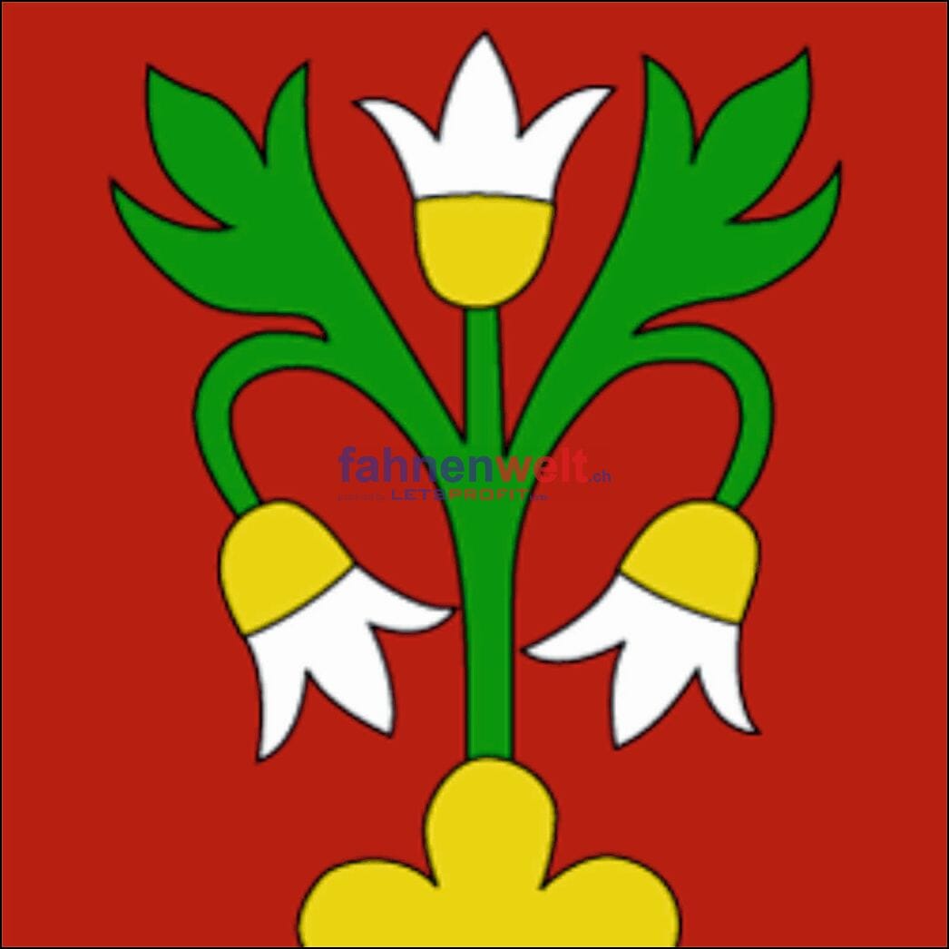 Fahne Gemeinde 9556 Zezikon Ehemalige Gemeinde (TG) | 30 x 30 cm und Gr&ouml;sser - Bild 1