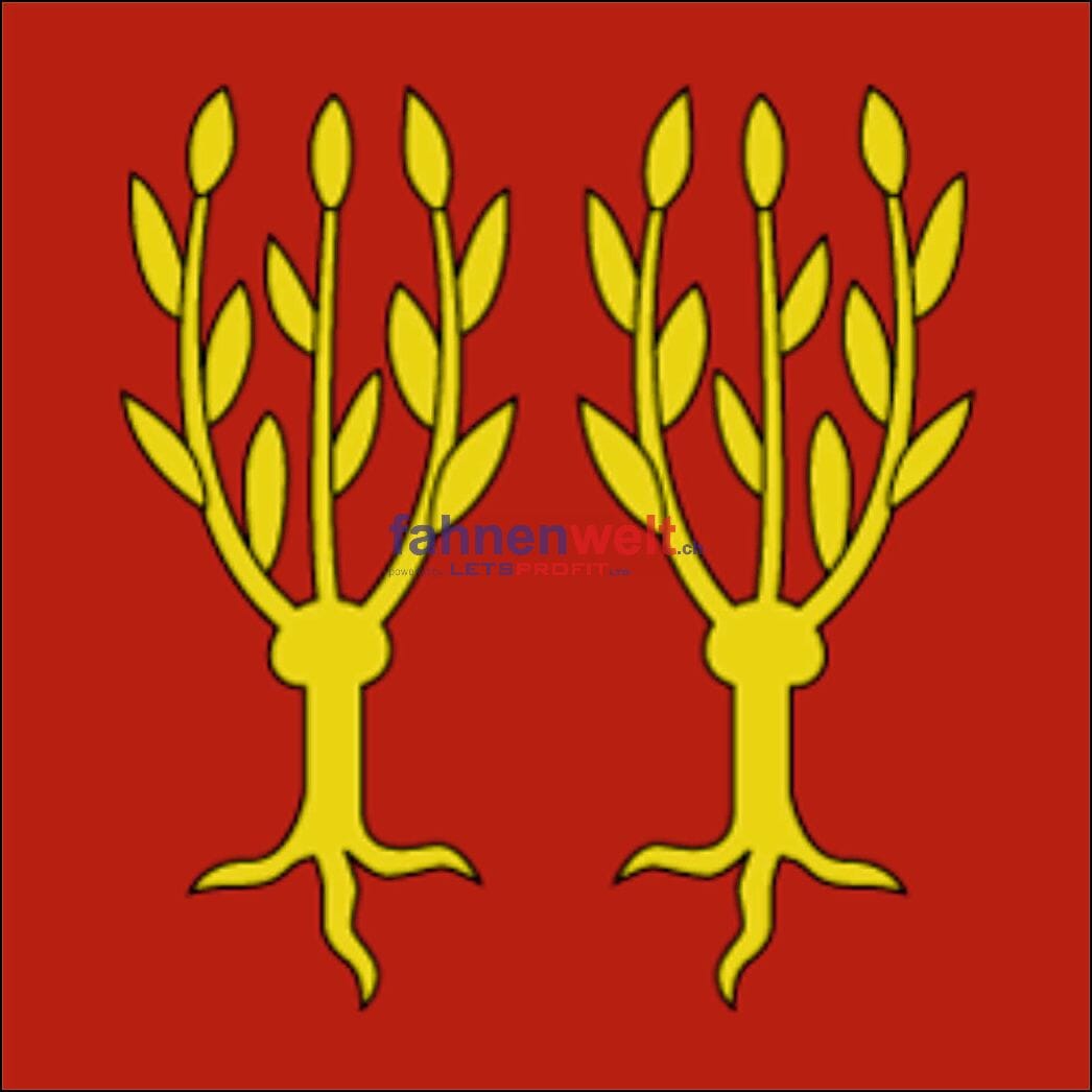 Fahne Gemeinde 8507 Salen-Reutenen Ehemalige Gemeinde (TG) | 30 x 30 cm und Gr&ouml;sser - Bild 1
