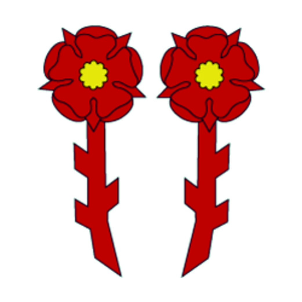 Fahne Region Herrschaft Rapperswil (SG) | 30 x 30 cm und Gr&ouml;sser - Bild 1