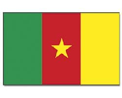 Kamerun Hissfahne gedruckt im Querformat | 90 x 150 cm - Bild 1