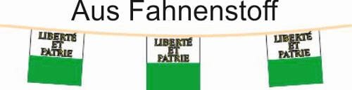 Fahnenkette Kanton Waadt | 15 Fahnen | aus Stoff in diversen Gr&ouml;ssen ab - Bild 1