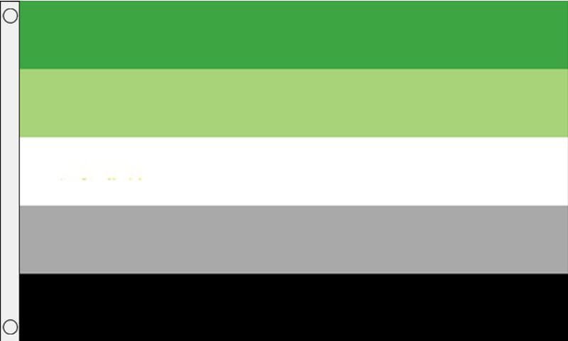 Aromantic / Aromantik Fahne aus Stoff | 90 x 150 cm - Bild 1