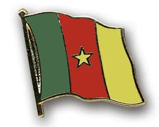 Flaggen Pin Kamerun geschwungen | ca. 20 mm - Bild 1