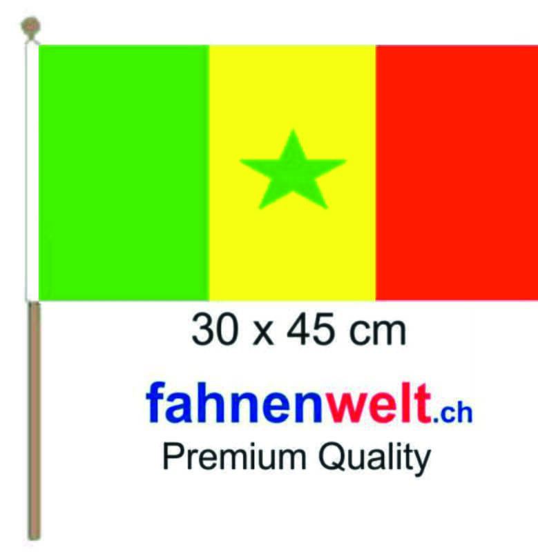 Senegal Fahne / Flagge am Stab | 30 x 45 cm - Bild 1