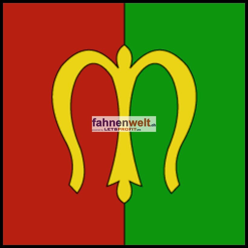 Fahne Bezirk Moudon (VD) | 30 x 30 cm und Gr&ouml;sser - Bild 1