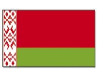 Belarus Hissfahne gedruckt im Querformat | 90 x 150 cm - Bild 1