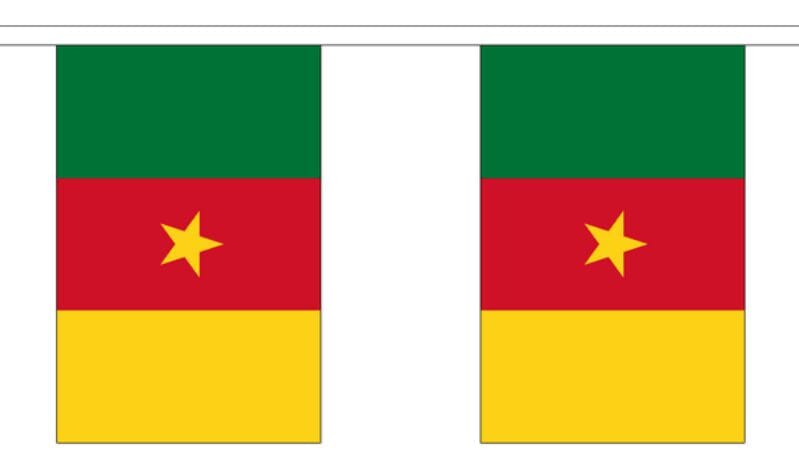 Fahnenkette Kamerun gedruckt aus Stoff | 30 Fahnen 15 x 22.5 cm 9 m lang - Bild 1