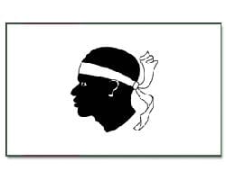 Korsika Fahne / Flagge am Stab | 30 x 45 cm - Bild 1