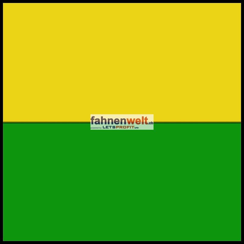 Fahne Bezirk Rolle (VD) | 30 x 30 cm und Gr&ouml;sser - Bild 1