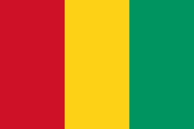 Guinea gedruckt im Querformat | 90 x 150 cm - Bild 1