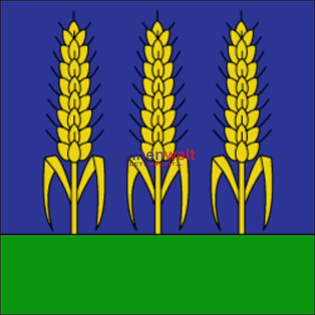 Fahne Gemeinde 6661 Berzona Ehemalige Gemeinde (TI) | 30 x 30 cm und Gr&ouml;sser - Bild 1