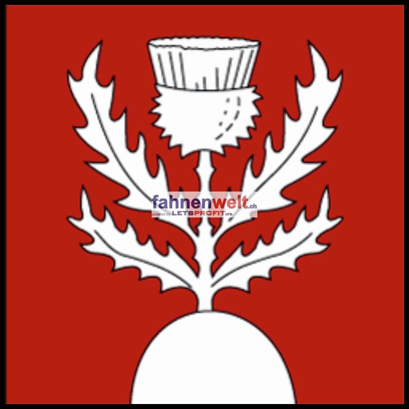 Fahne Gemeinde 1041 Montaubion-Chardonney Ehemalige Gemeinde (VD) | 30 x 30 cm und Gr&ouml;sser - Bild 1