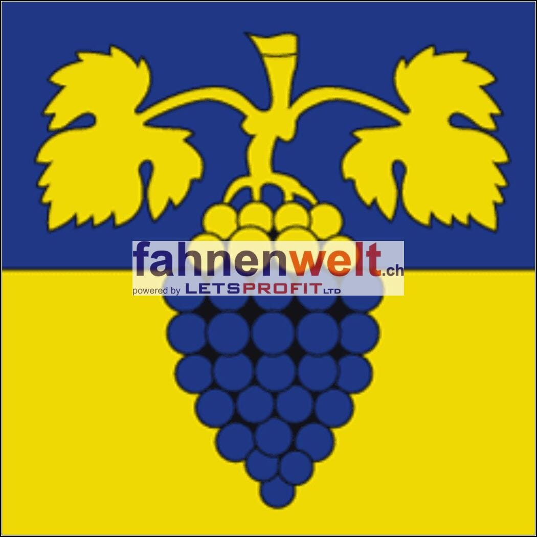 Fahne Kreis Maienfeld (GR) | 30 x 30 cm und Gr&ouml;sser - Bild 1