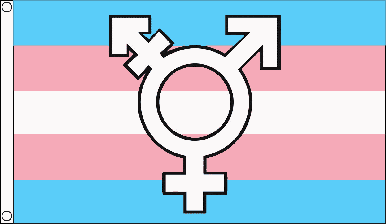 Transgender Symbol Fahne aus Stoff | 90 x 150 cm - Bild 1