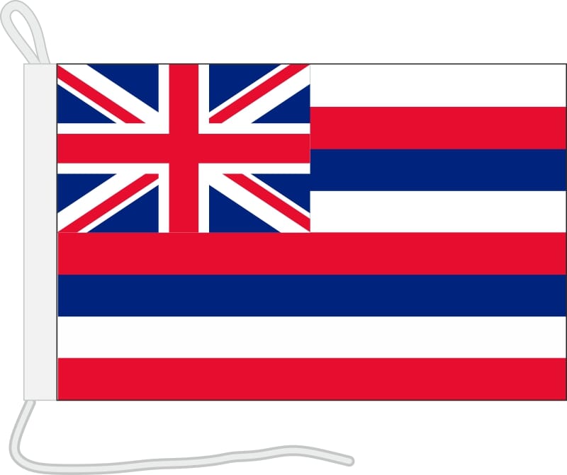 Bootsfahne Hawaii | 30 x 45 cm - Bild 1
