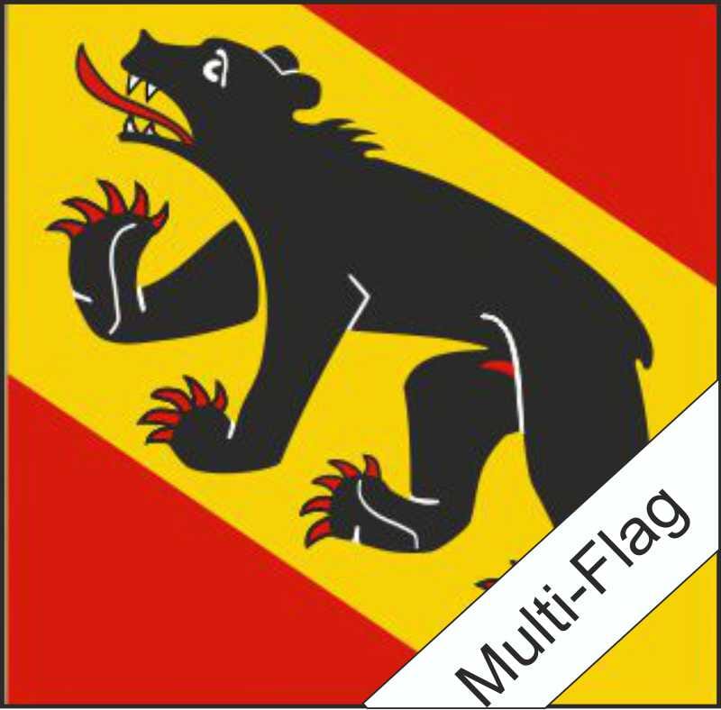 Fahne Bern BE gedruckt | 40 x 40 cm - Bild 1