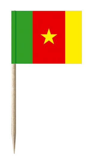 Mini-Fahnen Kamerun Pack &agrave; 50 St&uuml;ck | 30 x 40 mm - Bild 1