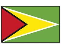 Guyana Hissfahne gedruckt im Querformat | 90 x 150 cm - Bild 1