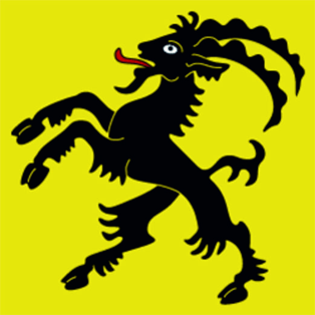 Fahne Region Vogtei Rheintal (SG) | 30 x 30 cm und Gr&ouml;sser - Bild 1