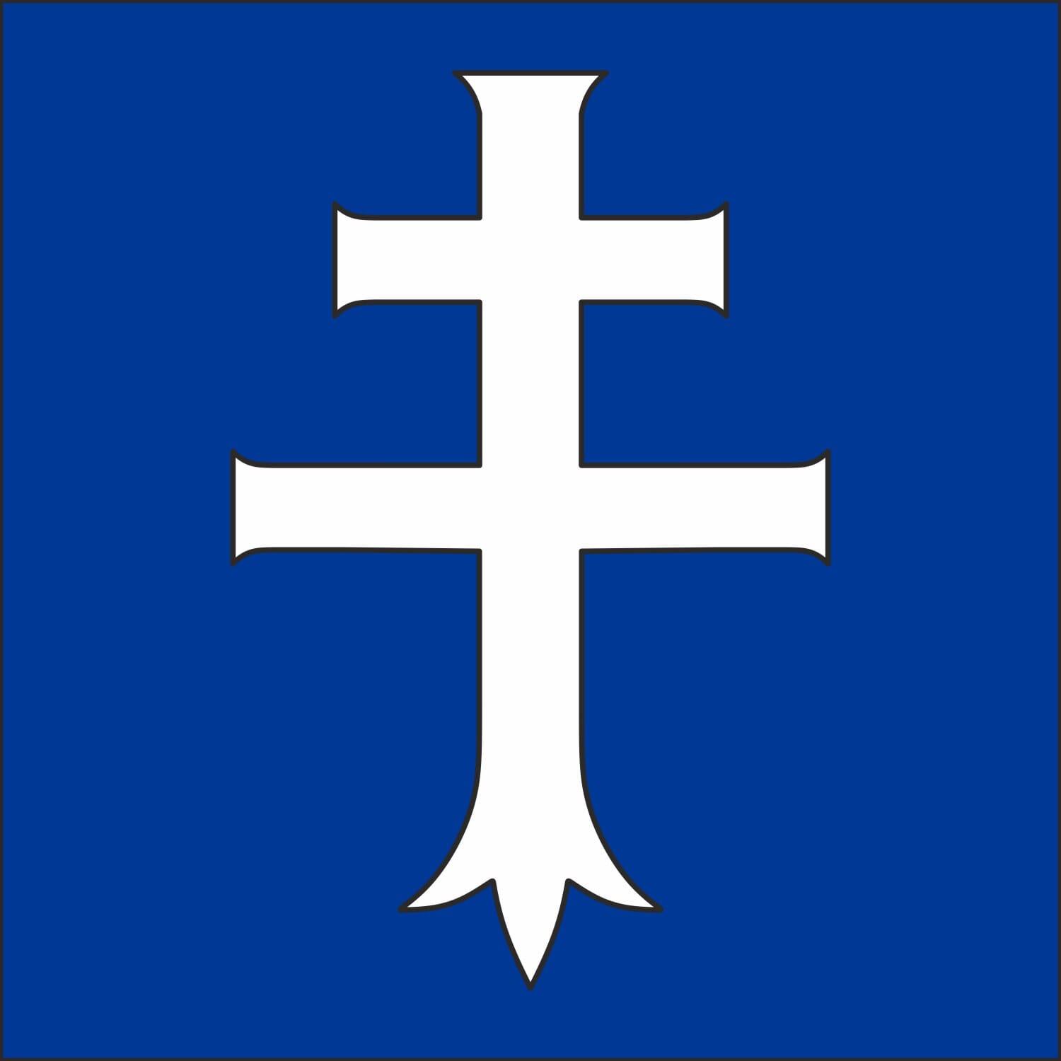 Fahne Gemeinde 5442 Fislisbach (AG) | 30 x 30 cm und Gr&ouml;sser - Bild 1