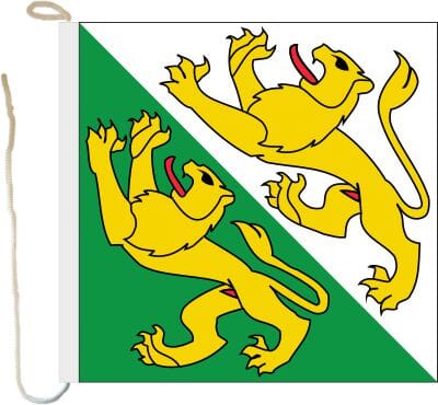 Bootsfahne / Bootsflagge Thurgau | 30 x 30 cm - Bild 1