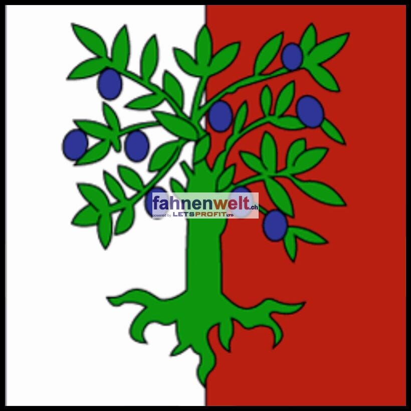 Fahne Gemeinde 1324 Premier (VD) | 30 x 30 cm und Gr&ouml;sser - Bild 1