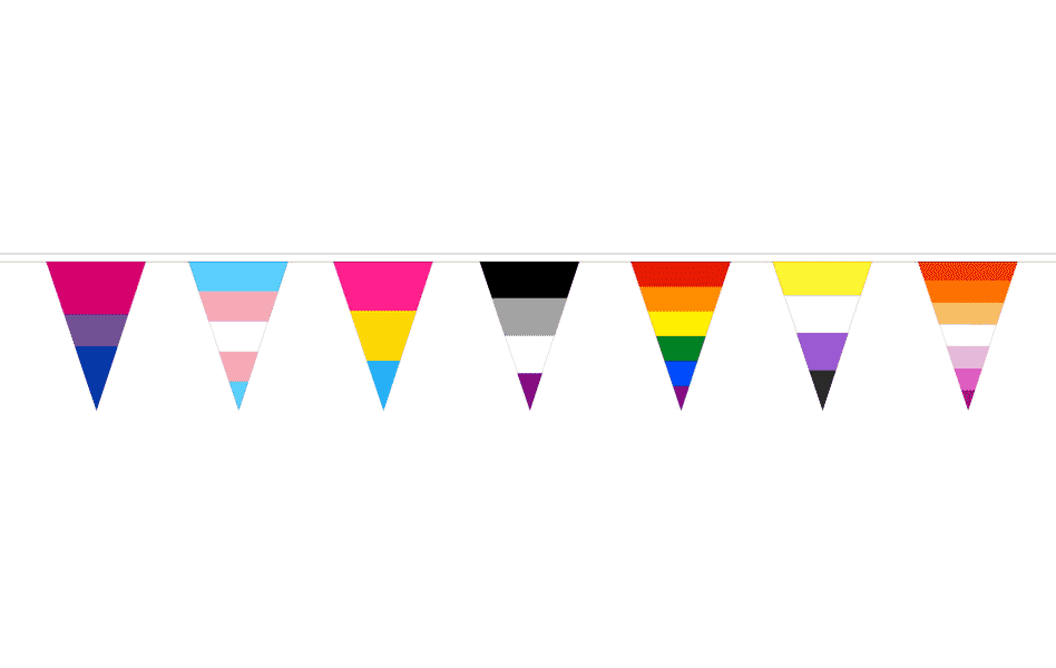 Wimpelkette Pride Mixed Identity | 15-16.5  m, 42 Wimpel &agrave; 30x20 cm - Bild 1