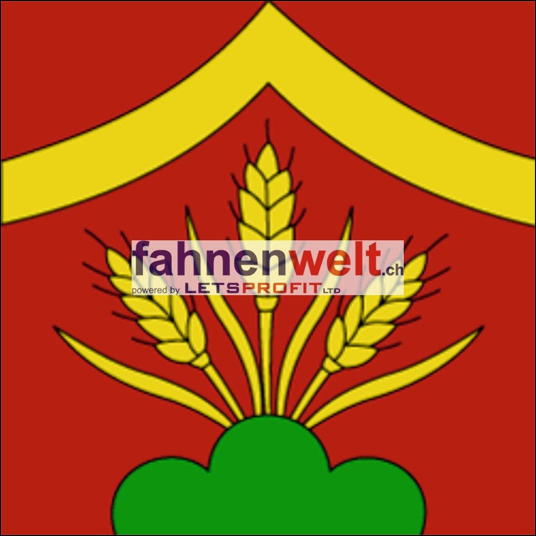 Fahne Gemeinde 4582 Br&uuml;gglen Ehemalige Gemeinde (SO) | 30 x 30 cm und Gr&ouml;sser - Bild 1