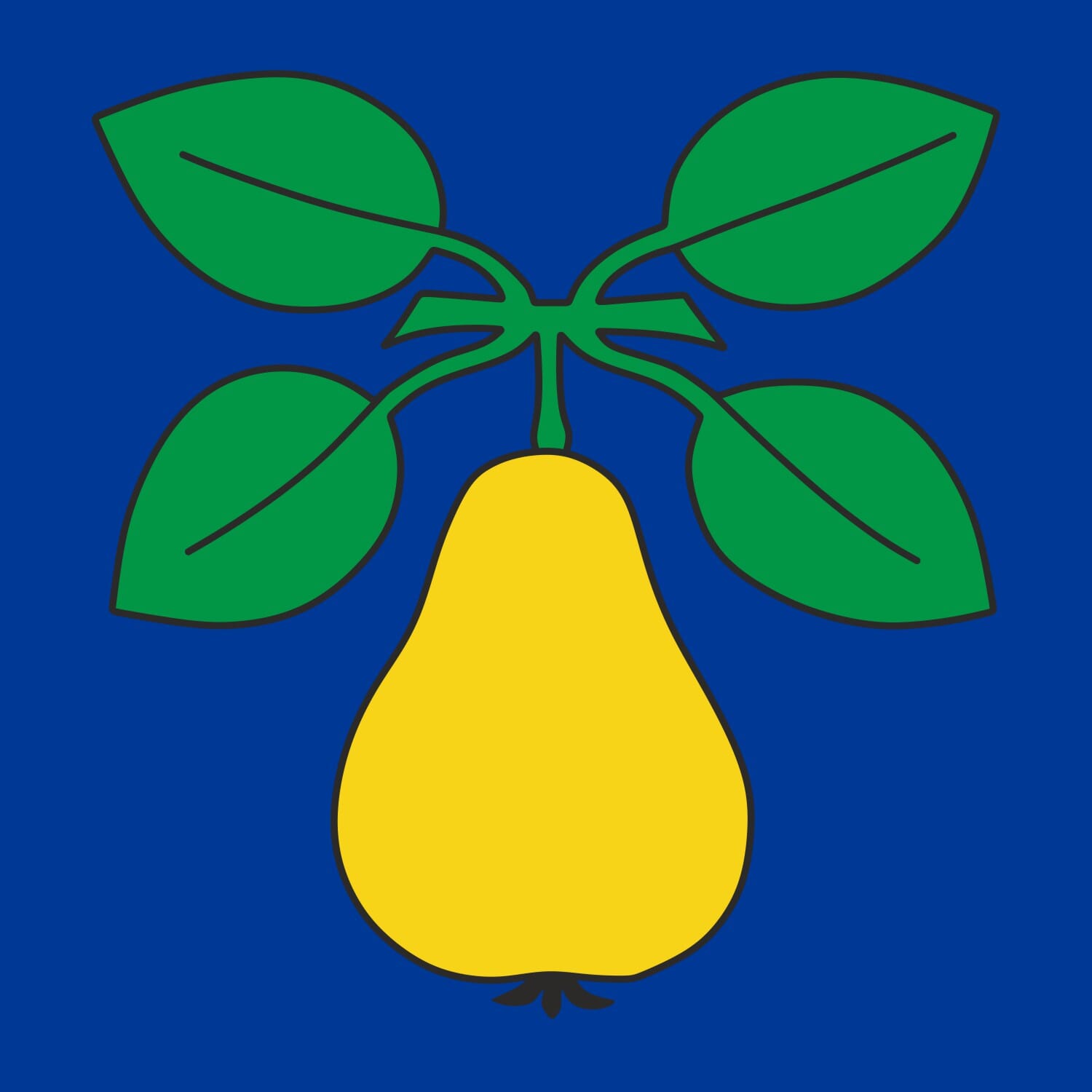 Fahne Gemeinde 5242 Birr (AG) | 30 x 30 cm und Gr&ouml;sser - Bild 1