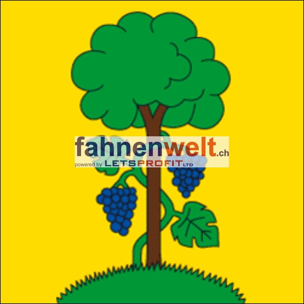 Fahne Gemeinde 8200/8203 Buchthalen Ehemalige Gemeinde (SH) | 30 x 30 cm und Gr&ouml;sser - Bild 1