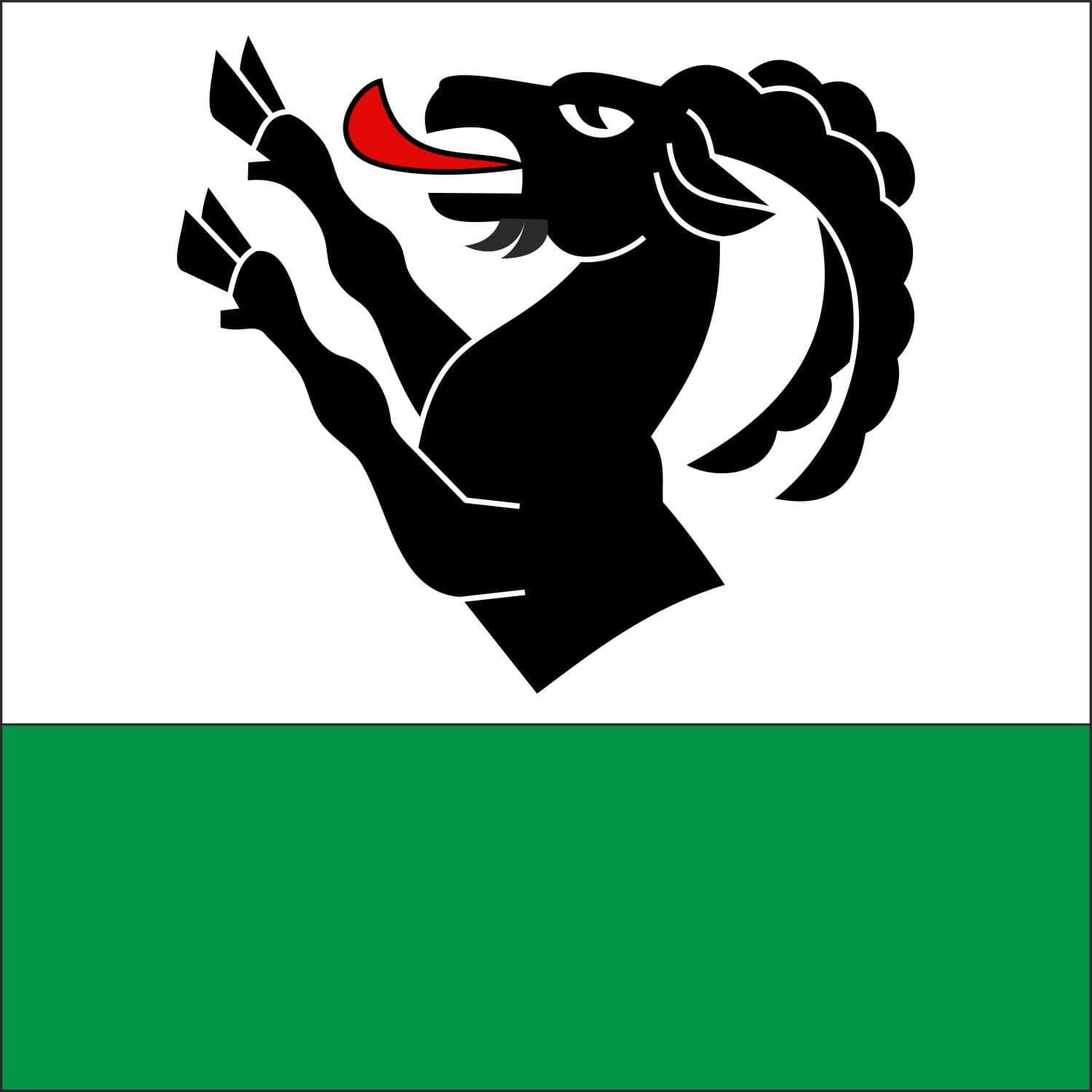 Fahne Gemeinde 3853 Niederried am Brienzersee (BE) | 30 x 30 cm und Gr&ouml;sser - Bild 1