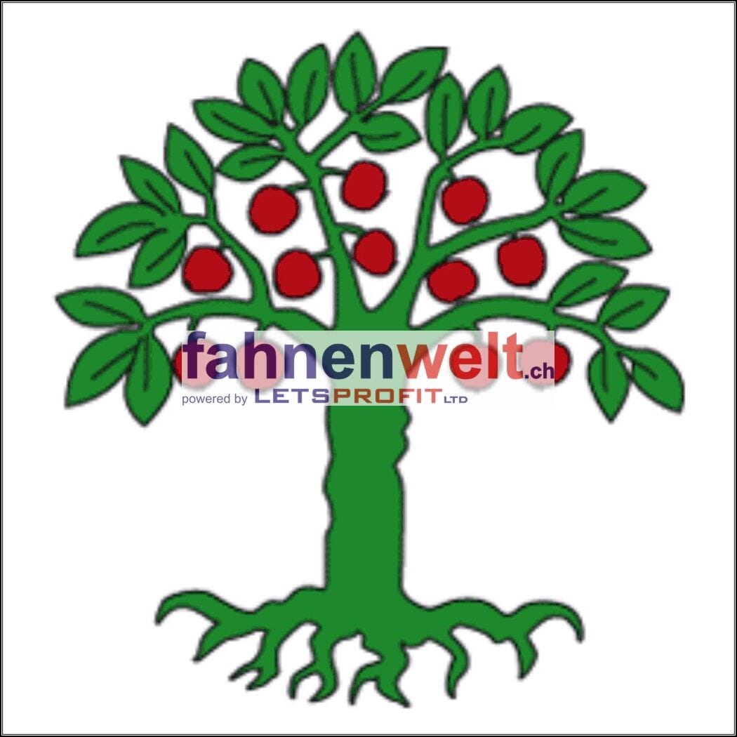 Fahne Kreis Domleschg (GR) | 30 x 30 cm und Gr&ouml;sser - Bild 1