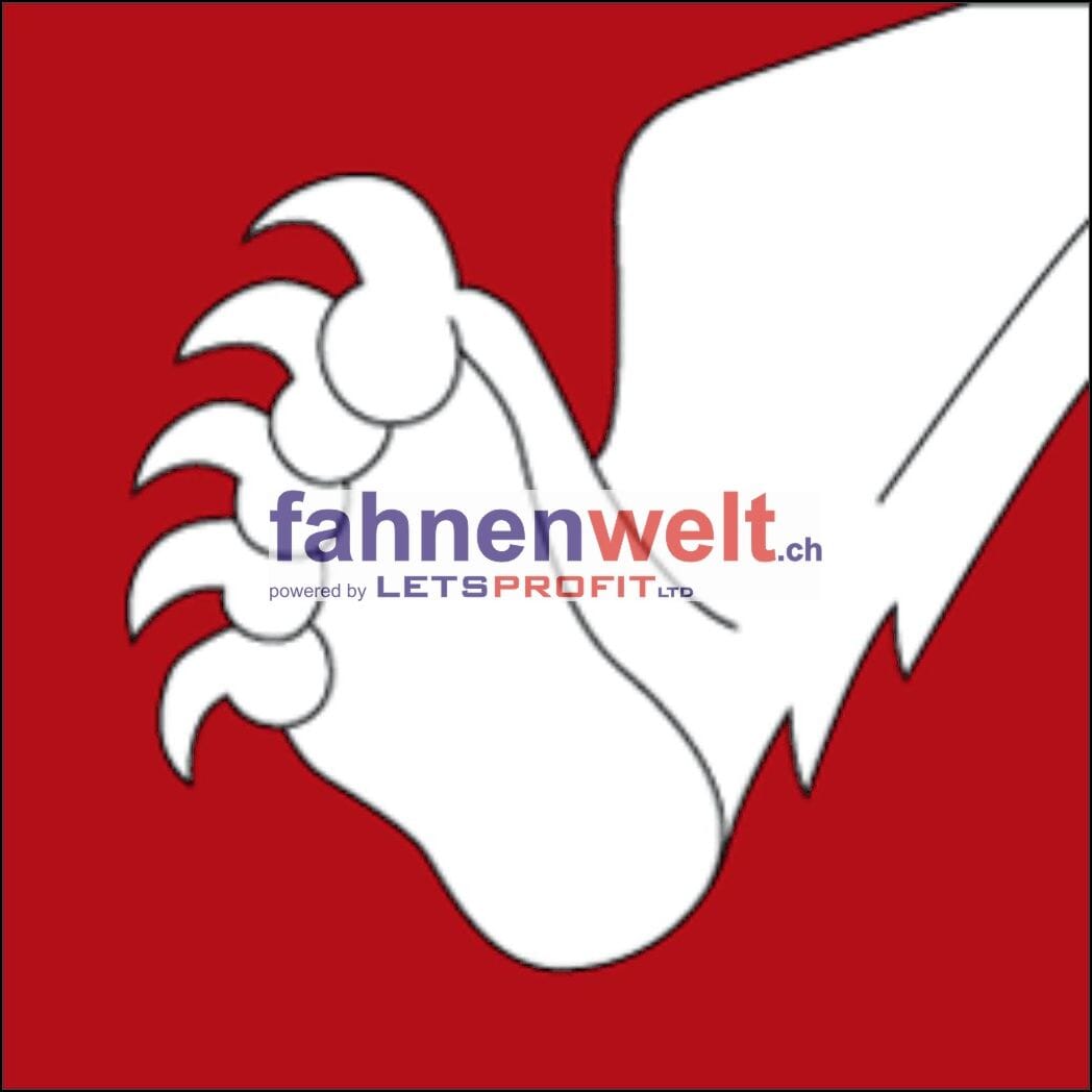 Fahne Bezirk B&uuml;ren (BE) | 30 x 30 cm und Gr&ouml;sser - Bild 1