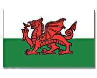 Wales Hissfahne gedruckt im Querformat | 90 x 150 cm - Bild 1