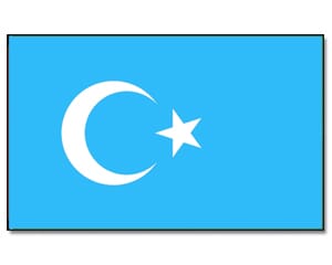 Republik Ostturkestan gedruckt im Querformat | 90 x 150 cm - Bild 1