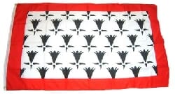 Fahne / Flagge Limousin gedruckt | 90 x 150 cm - Bild 1