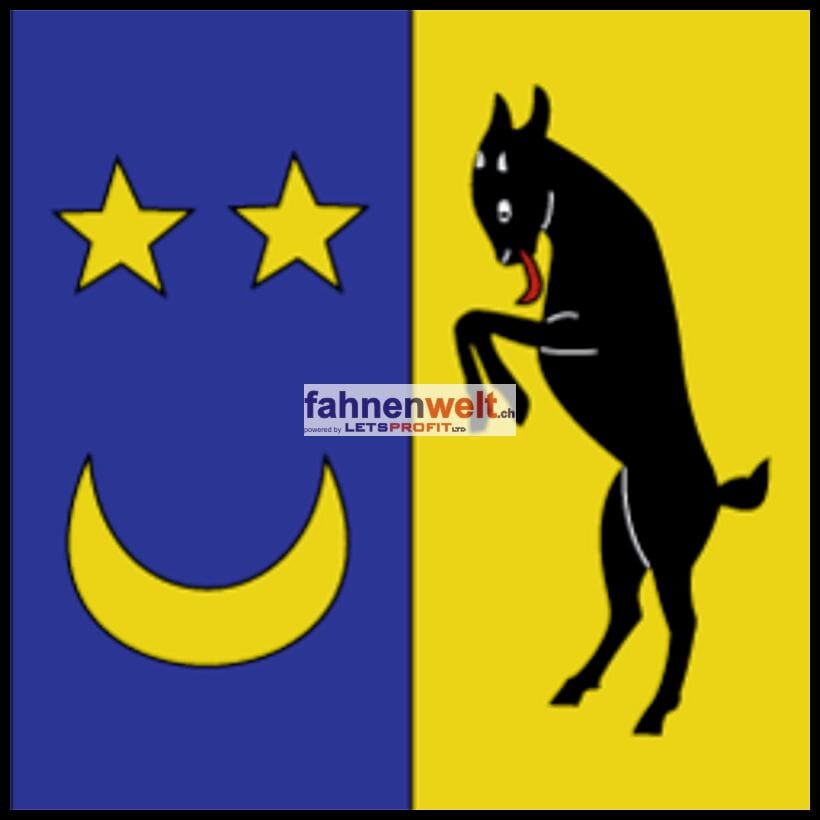 Fahne Gemeinde 1608 Bussigny-sur-Oron Ehemalige Gemeinde (VD) | 30 x 30 cm und Gr&ouml;sser - Bild 1